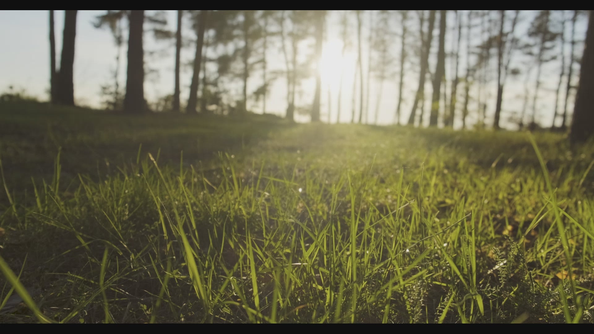Load video: summer